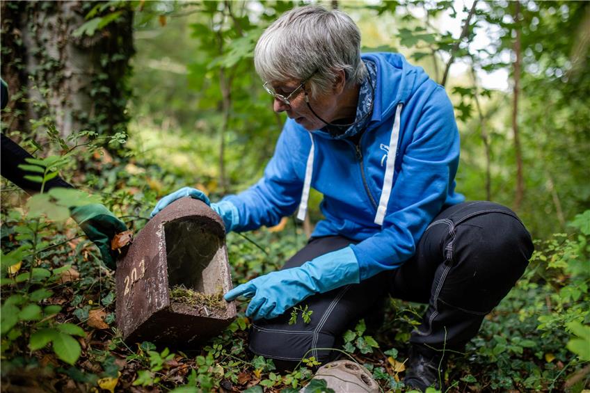 Bürgerwissenschaftler beschäftigen sich vor allem mit Umweltthemen, Naturschutz und Astronomie. Foto: Christoph Schmidt/dpa