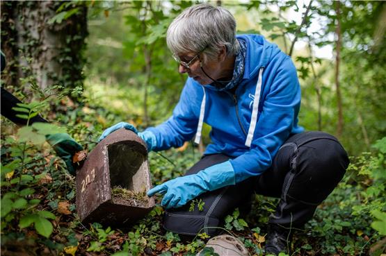 Bürgerwissenschaftler beschäftigen sich vor allem mit Umweltthemen, Naturschutz und Astronomie. Foto: Christoph Schmidt/dpa