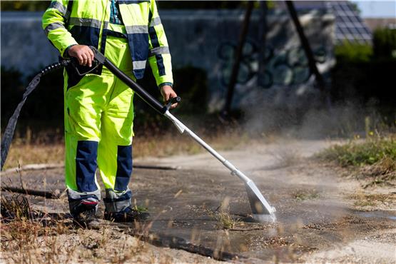 Ein Mitarbeiter der Stadt Kehl spritzt heißes Wasser in die Eingänge eines riesigen Ameisenbaus, der sich unter einem Spielplatz erstreckt. Foto: Philipp von Ditfurth/dpa