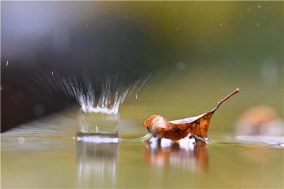 In Baden-Württemberg ziehen gebietsweise Schauer und Regen auf. (Symbolbild) Foto: Bernd Weißbrod/dpa