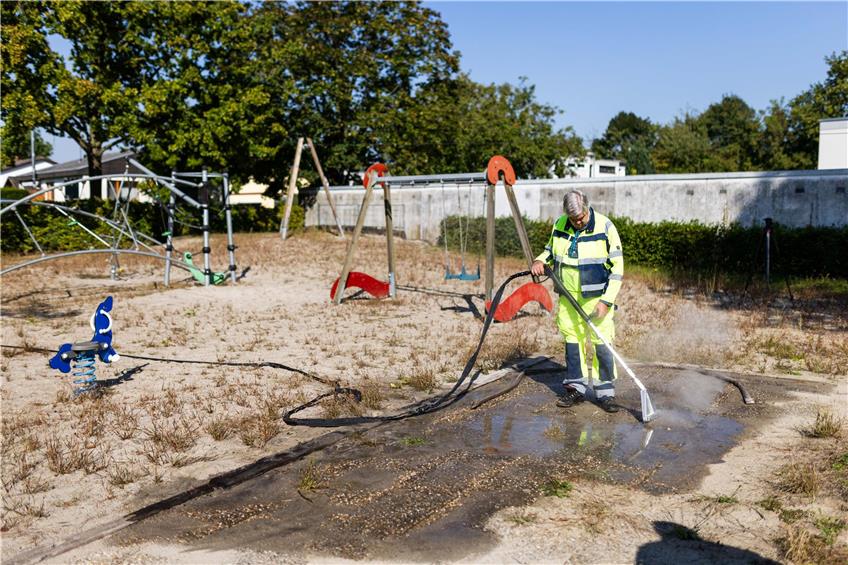 Invasive Ameisen der Gattung Tapinoma magnum plagen seit einigen Jahren die Anwohner im Kehler Ortsteil Marlen. Foto: Philipp von Ditfurth/dpa